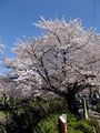 DSCF3029.jpg