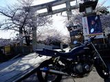 DSCF3032.jpg