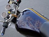 DSCF3038.jpg